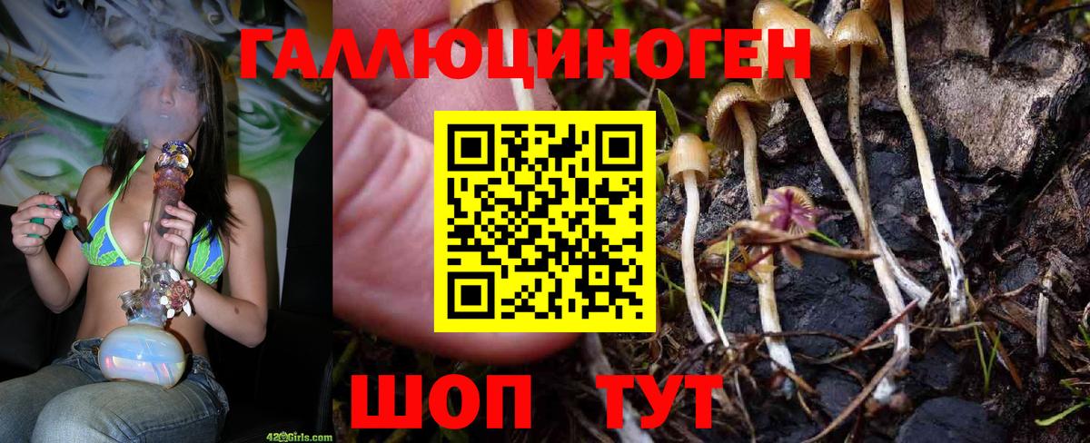 Анапа  Галлюциногенные грибы мицелий  Вход с VPN  Галлюциногенные грибы MAGIC MUSHROOMS 