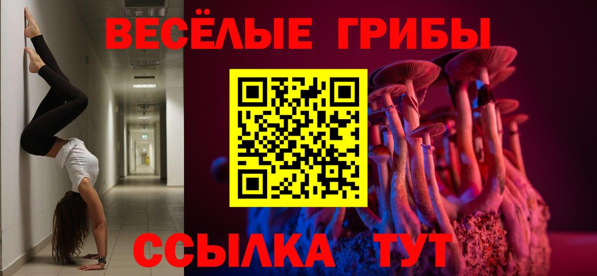 Псилоцибиновые грибы Psilocybe Анапа
